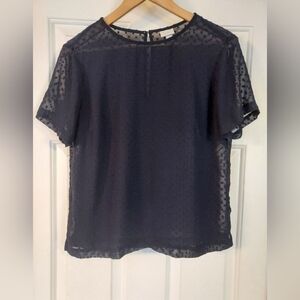 A New Day | Navy Blue sheer Short Sleeve Blouse | MEDIUM | lightly worn.